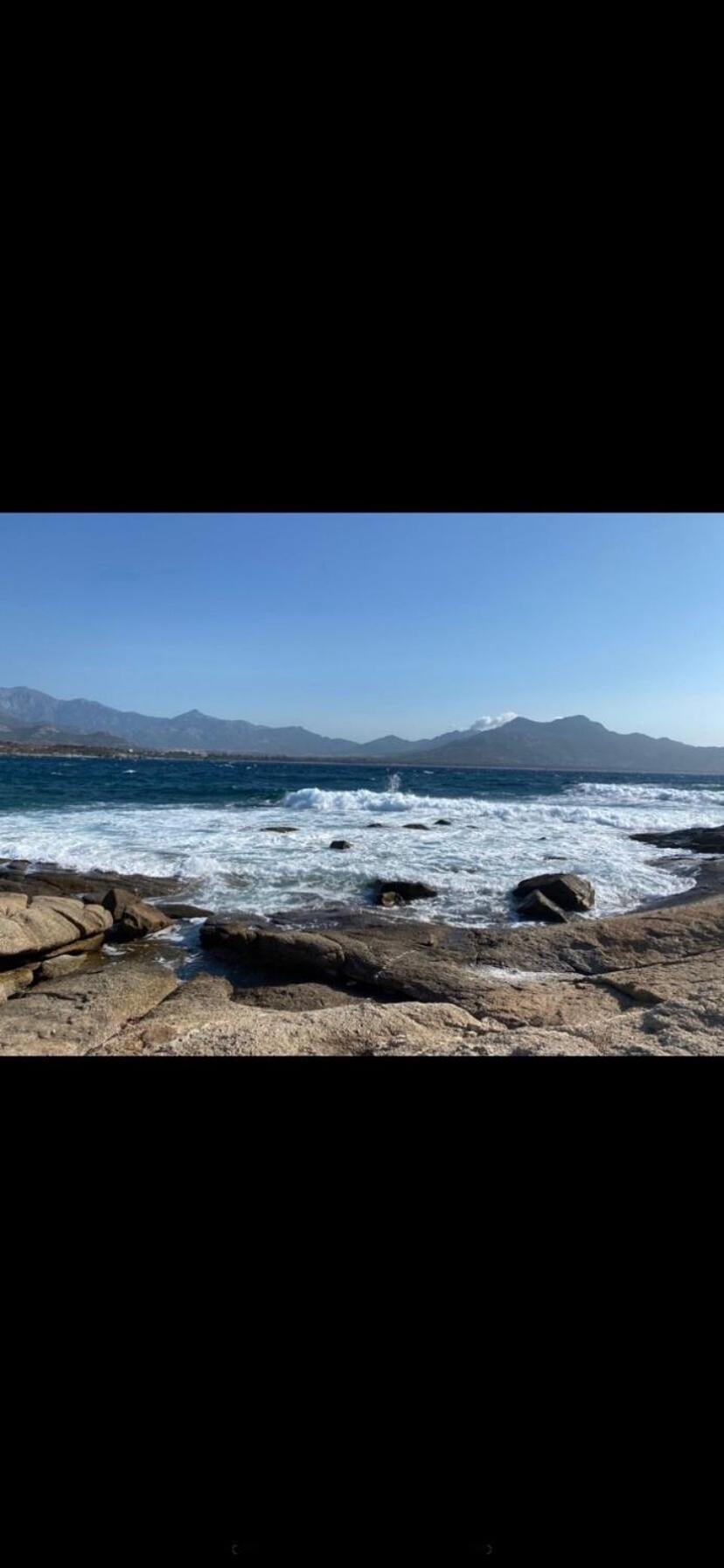 Coeur De Calvi Lägenhet Calvi  Exteriör bild