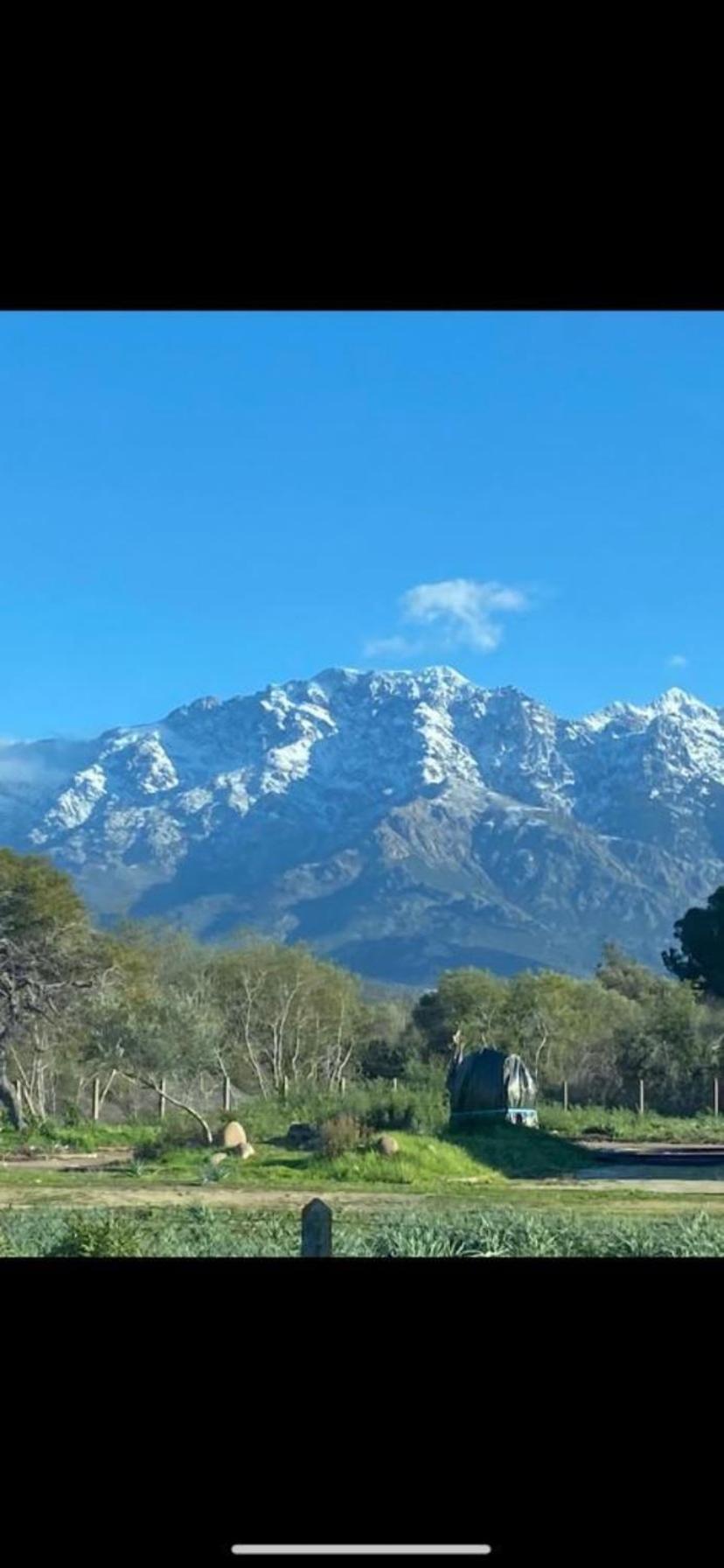 Coeur De Calvi Lägenhet Calvi  Exteriör bild