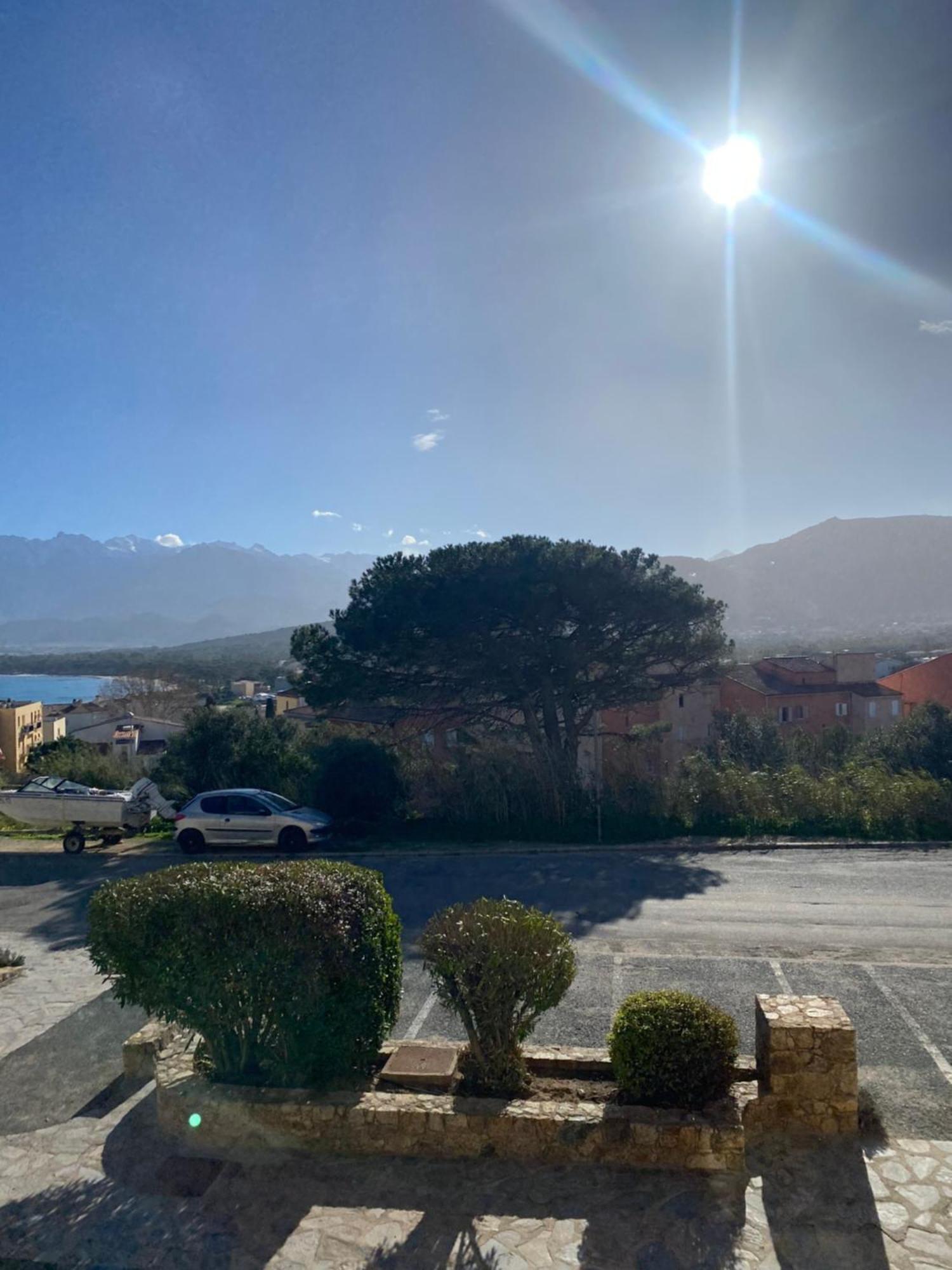 Coeur De Calvi Lägenhet Calvi  Exteriör bild